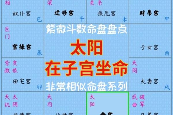 《紫微斗数》命盘解析可以运用哪些领域？