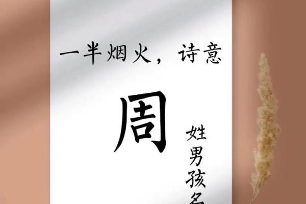 姓周的名人-名人大全-姓名学-华易算命网姓名