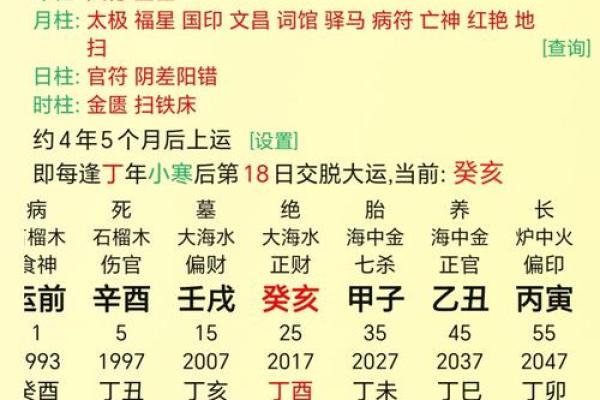 八字甲午辛未