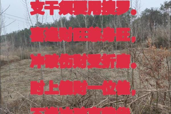 八字中偏财浅析生活情感婚姻生活现象