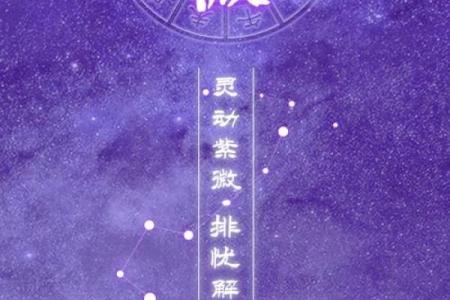 我是紫薇斗数