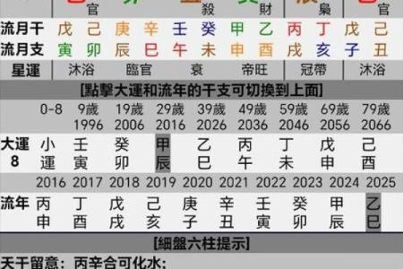 紫薇斗数流年七杀在寅