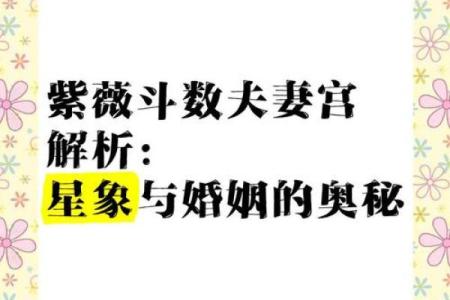 夫妻宫没有紫薇斗数