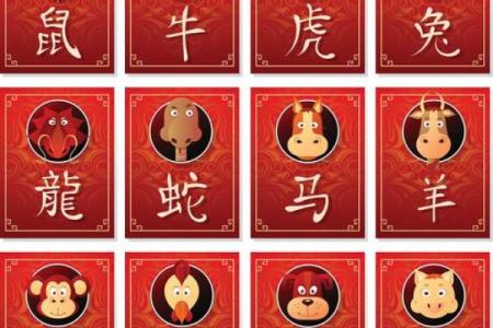 马年八月出生吉日，属马8月出生？