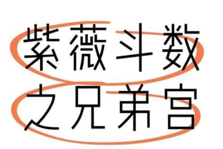 紫薇斗数兄弟代表