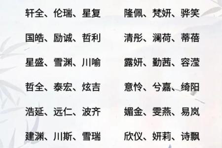 2019年4月28号卯时出生的男孩应该起什么样的名字姓名