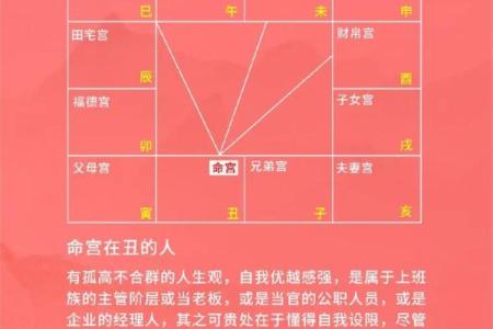 紫微斗数诸星落诸宫之，其它星疾厄宫详解