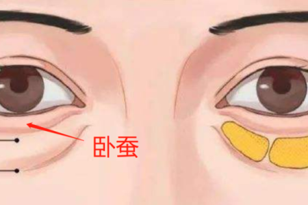 年天降紫薇星全文
