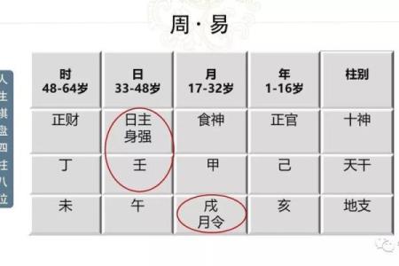 壬午日八字
