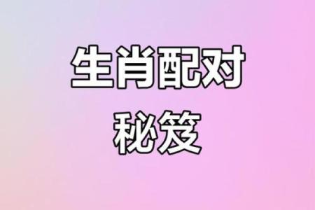 注定成为敌人的属相配对