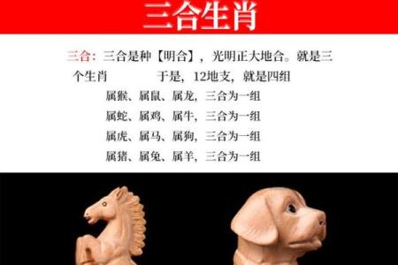 99年属什么今年多大 生肖配对