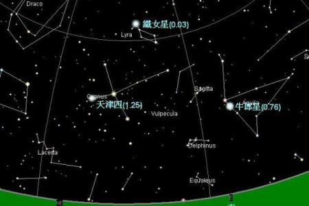 织女星属于什么星座