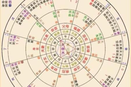 免费紫薇星盘在线排盘