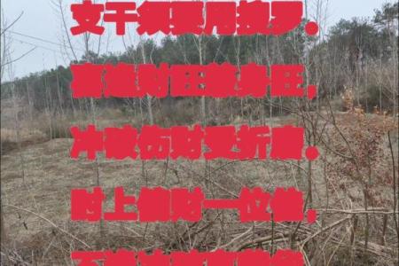 八字中偏财浅析生活情感婚姻生活现象