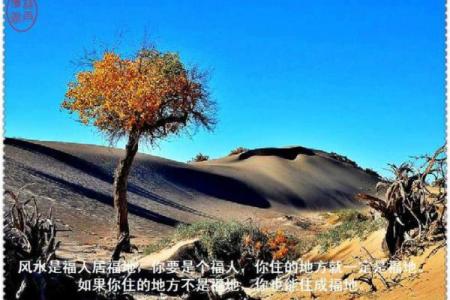 通过简单的风水调整助你求职成功