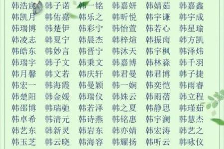 免费取名100分测试100分,免费起名测名