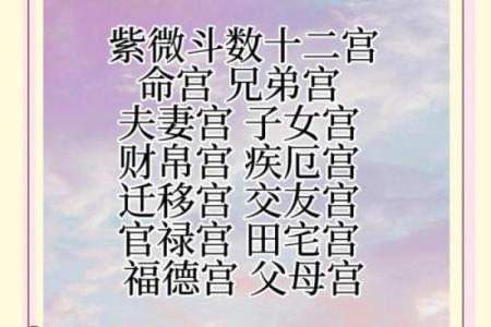 紫薇斗数各宫化