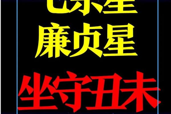 紫薇斗数文曲