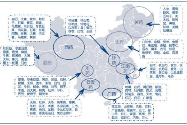 潘政民八字分析及未来发展趋势