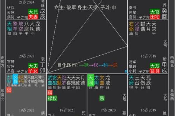 紫薇斗数流年桃花