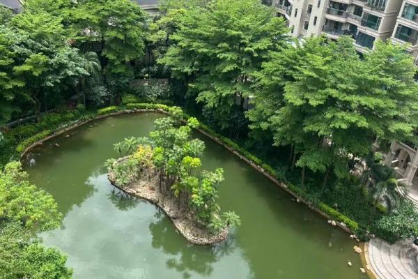 房子地下有池水风水好吗