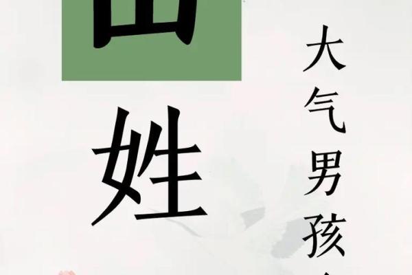 2019年4月3号子时出生的男孩要怎么起名字姓名