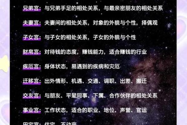 中华紫薇斗数在线排盘