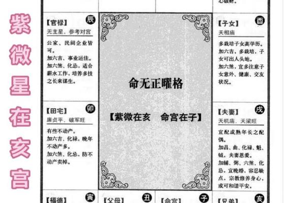 紫薇斗数流星