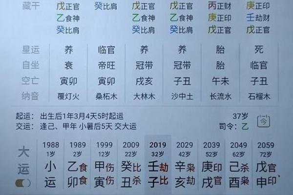 如何通过八字看官运？