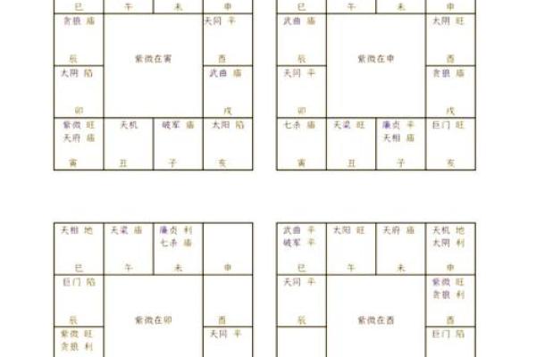 紫薇斗数忌星煞星