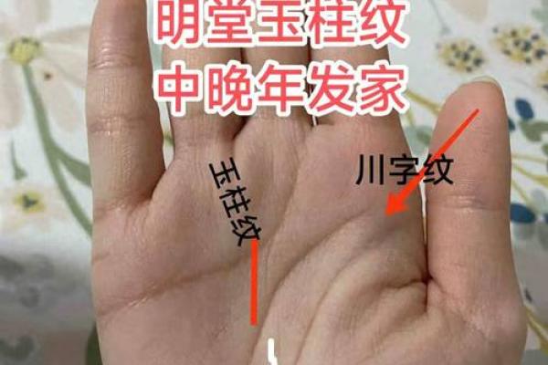 手相风水双手川字掌的女人命运如何