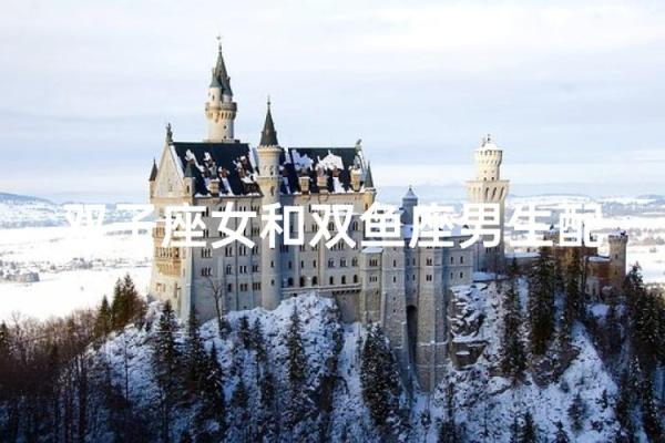 双子男和双鱼座配对指数 双子男会迷恋双鱼女吗