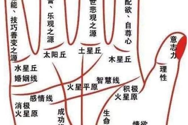 手相算命，拇指短的女生命好吗