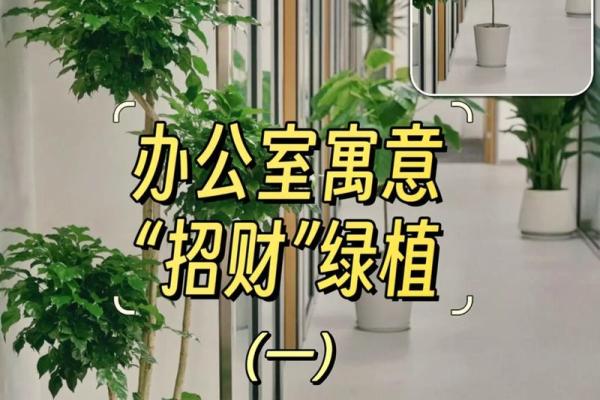 办公室风水布局怎么可以旺财