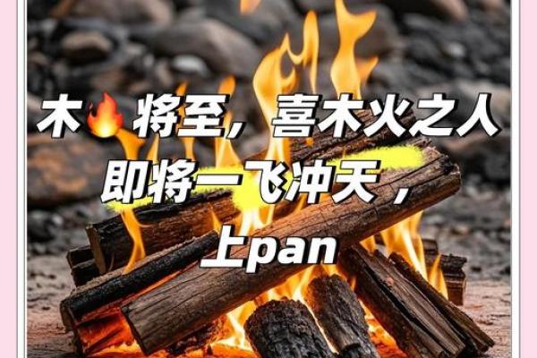 八字喜木火适合做什么