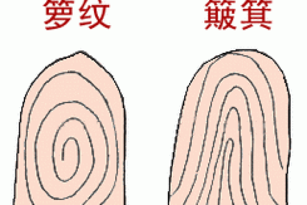 瓷都算命准吗