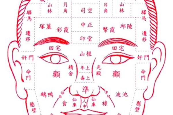 面相风水鼻头大的男人好不好是长寿命吗