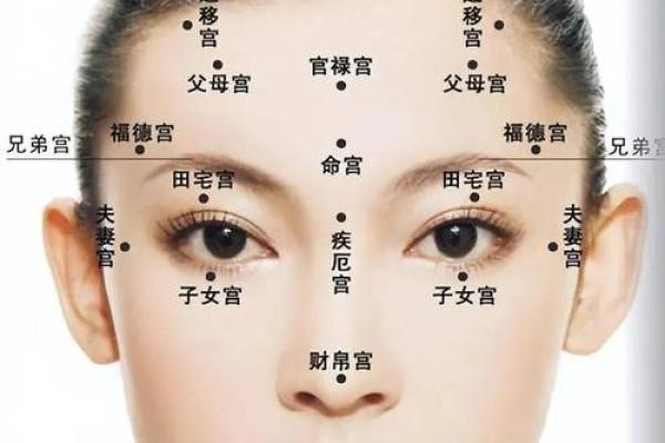 面相风水鼻头大的男人好不好是长寿命吗