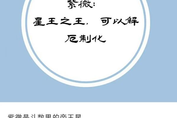 免费测紫薇斗数app