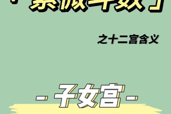 紫薇斗数看子女长相