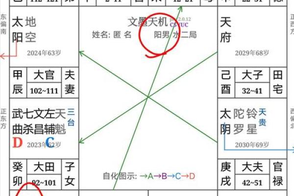 紫薇斗数武曲化科坐命辰宫