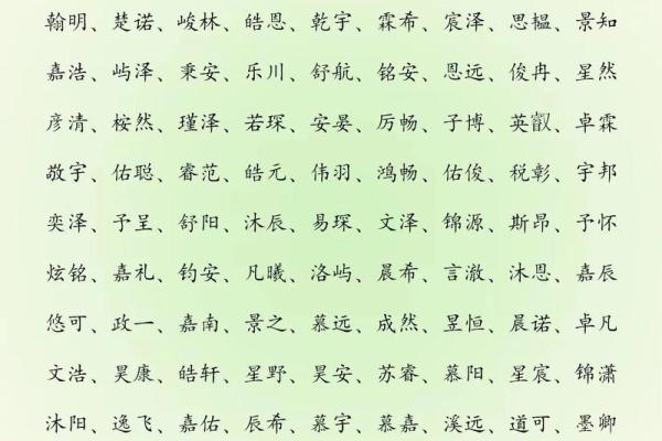 2019年5月13号子时出生的男孩起名时要注意什么姓名