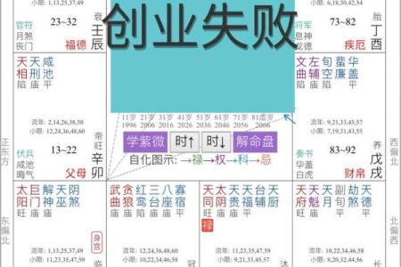 紫薇斗数与八字优缺点