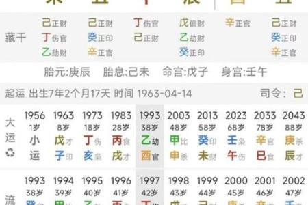八字乙丑