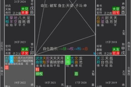 紫薇斗数流年桃花