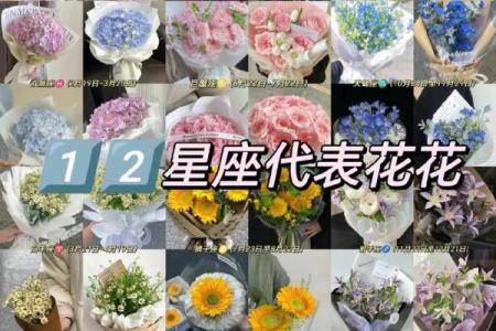 十二星座的守护花