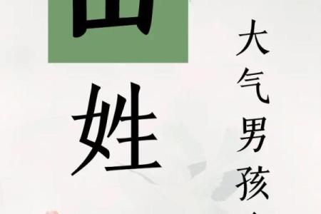 2019年4月3号子时出生的男孩要怎么起名字姓名
