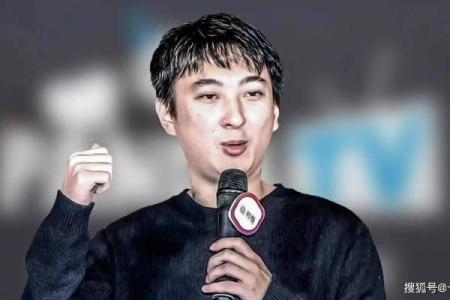 王思聪紫薇斗数