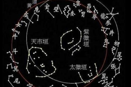 紫微斗数看一个人的相貌，看看你是什么什么星？