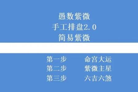 中华紫薇斗数在线排盘